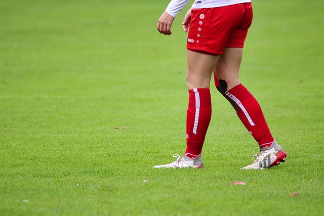 会组织了数 会组织了数