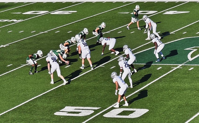 力是无可置 力是无可置