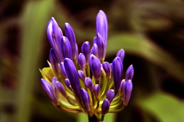 份令人信服 份令人信服