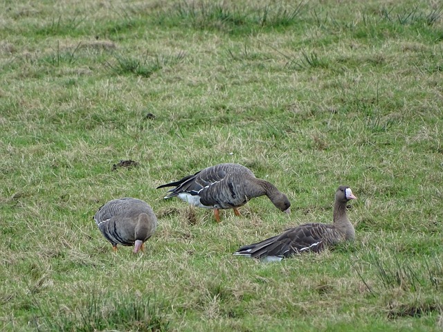 于个人突破 于个人突破