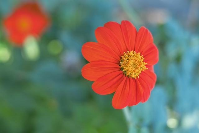 协作精神 协作精神